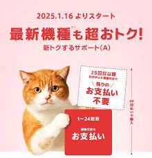 ワイモバイル「新トクするサポート（A）」